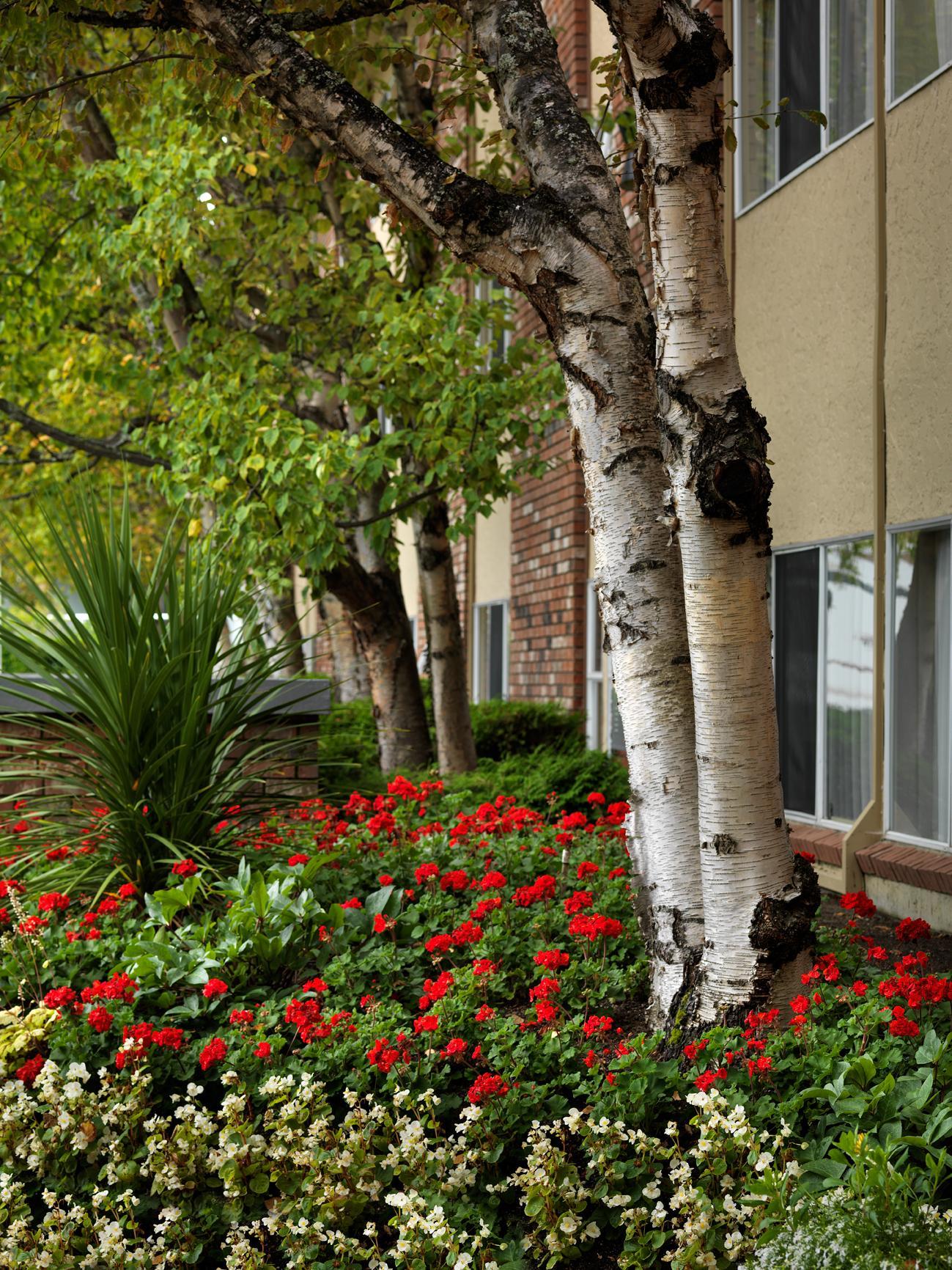 Royal Scot Hotel & Suites Виктория Екстериор снимка